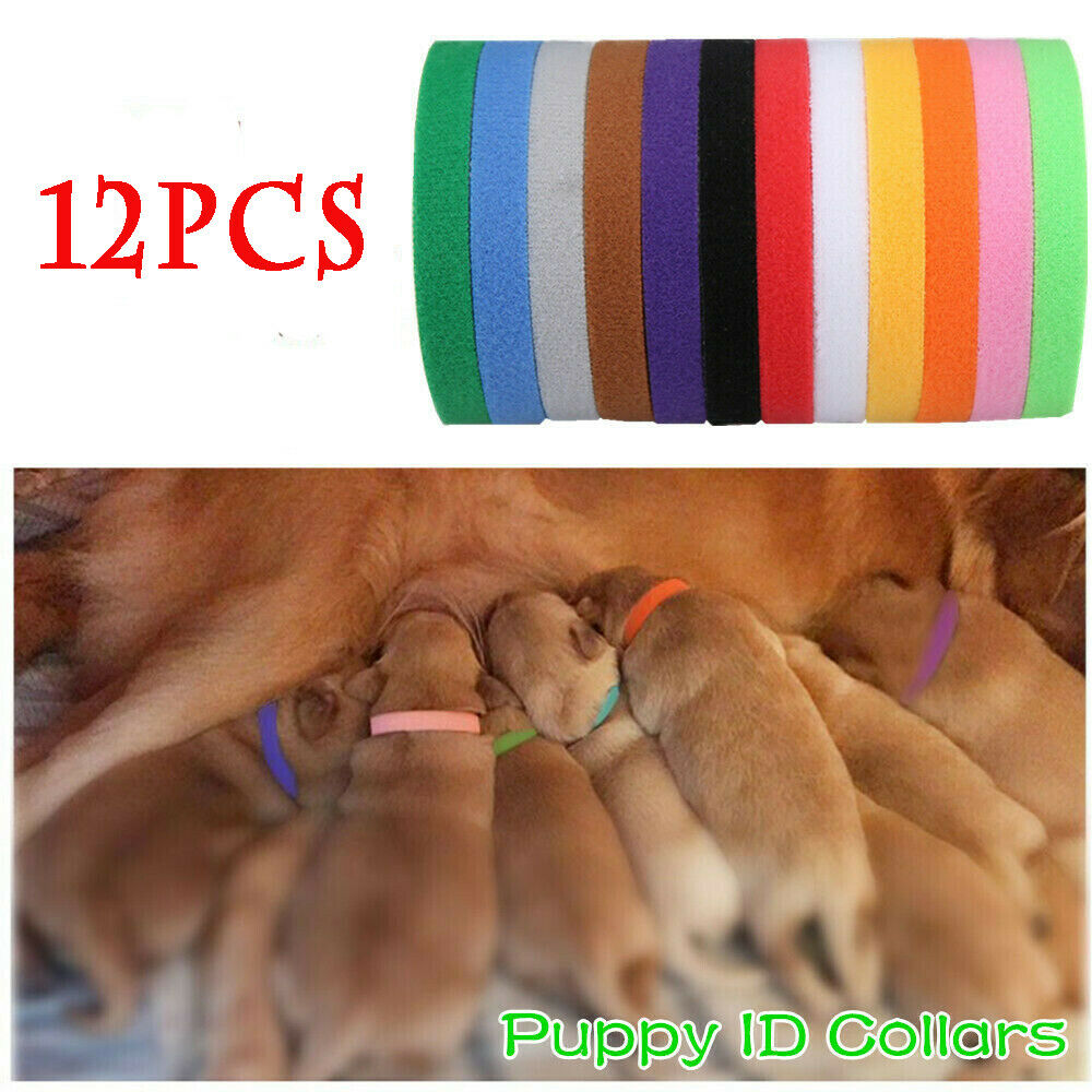 12x Color Whelping ID Collar Bands Pet Puppy Kitten Identification Collar Tags