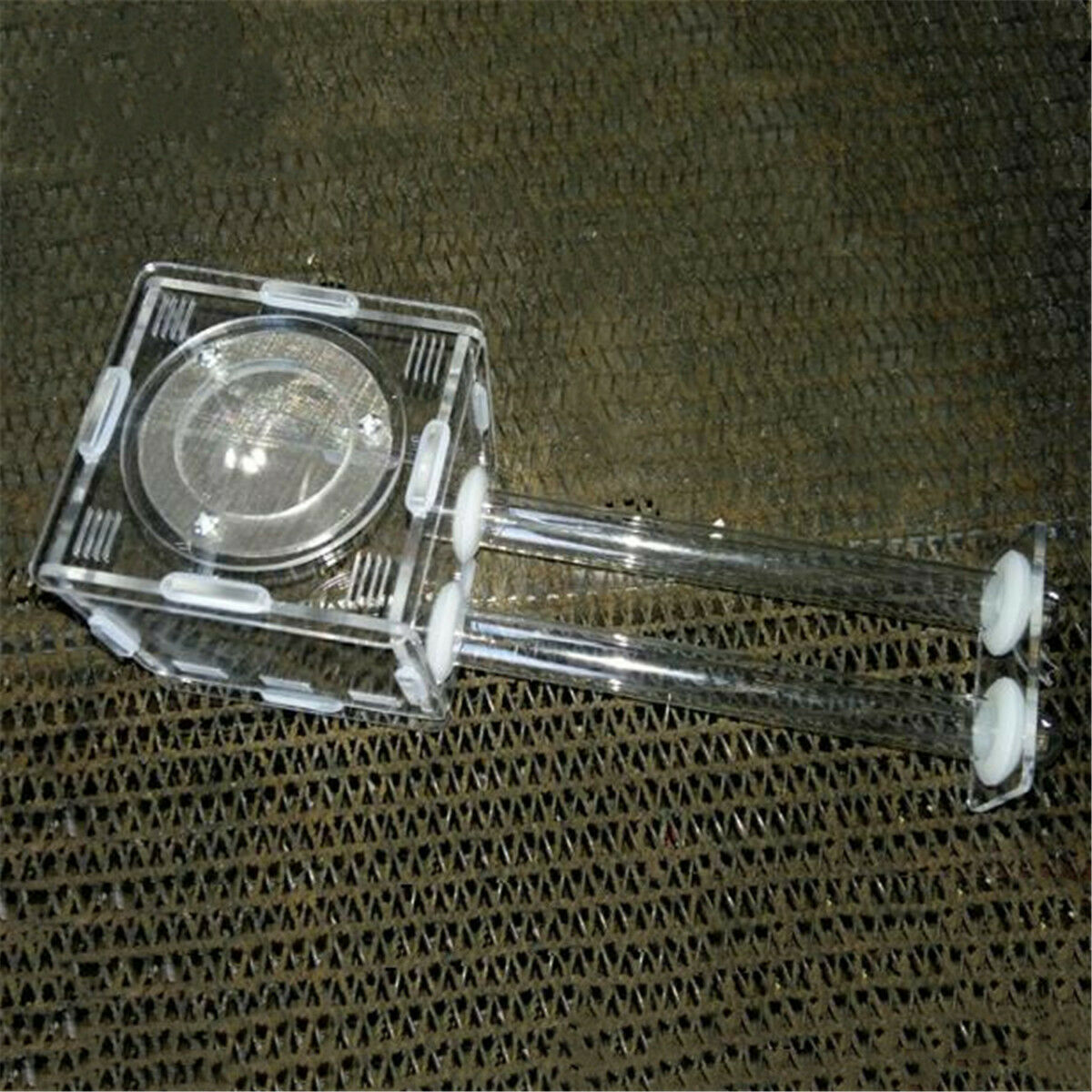 Mini Ant Nest Farm Double Glass Tubes Housing Formicarium for Ant Colony Living