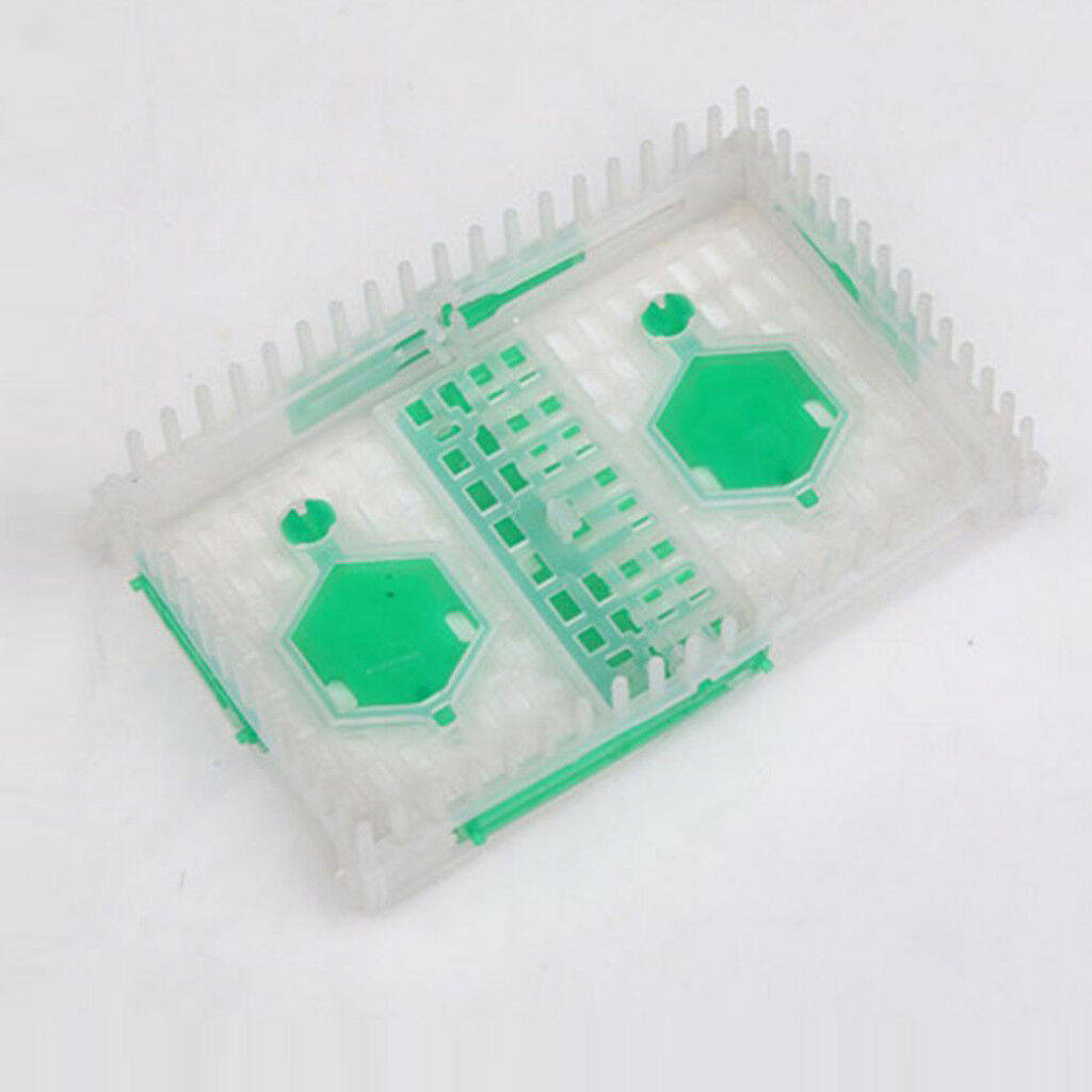 Beekeepers White Green Queen Bee Needle Isolator Cage Double Cages Design
