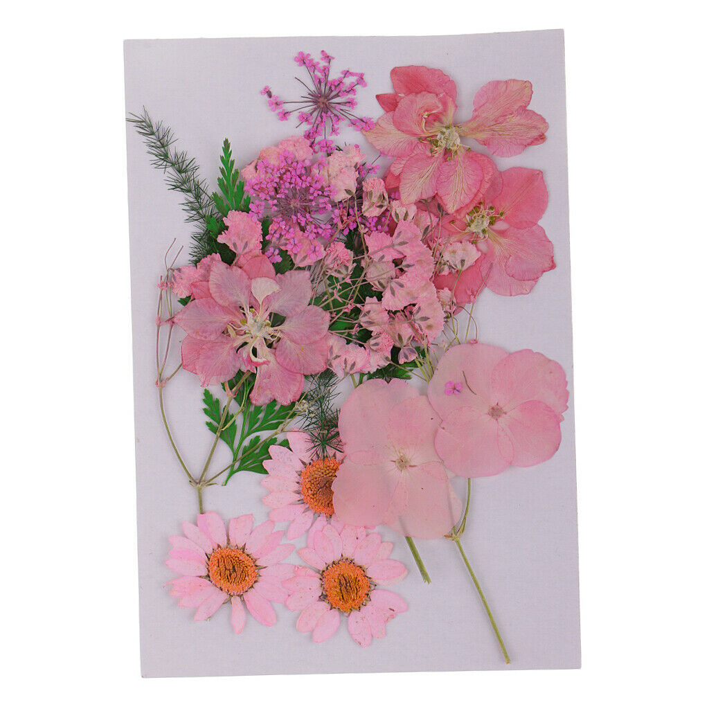 3 Bags Mix Natural Dried Pressed Flowers, Leaves, Crafts And Crafts 2-3.5 Cm