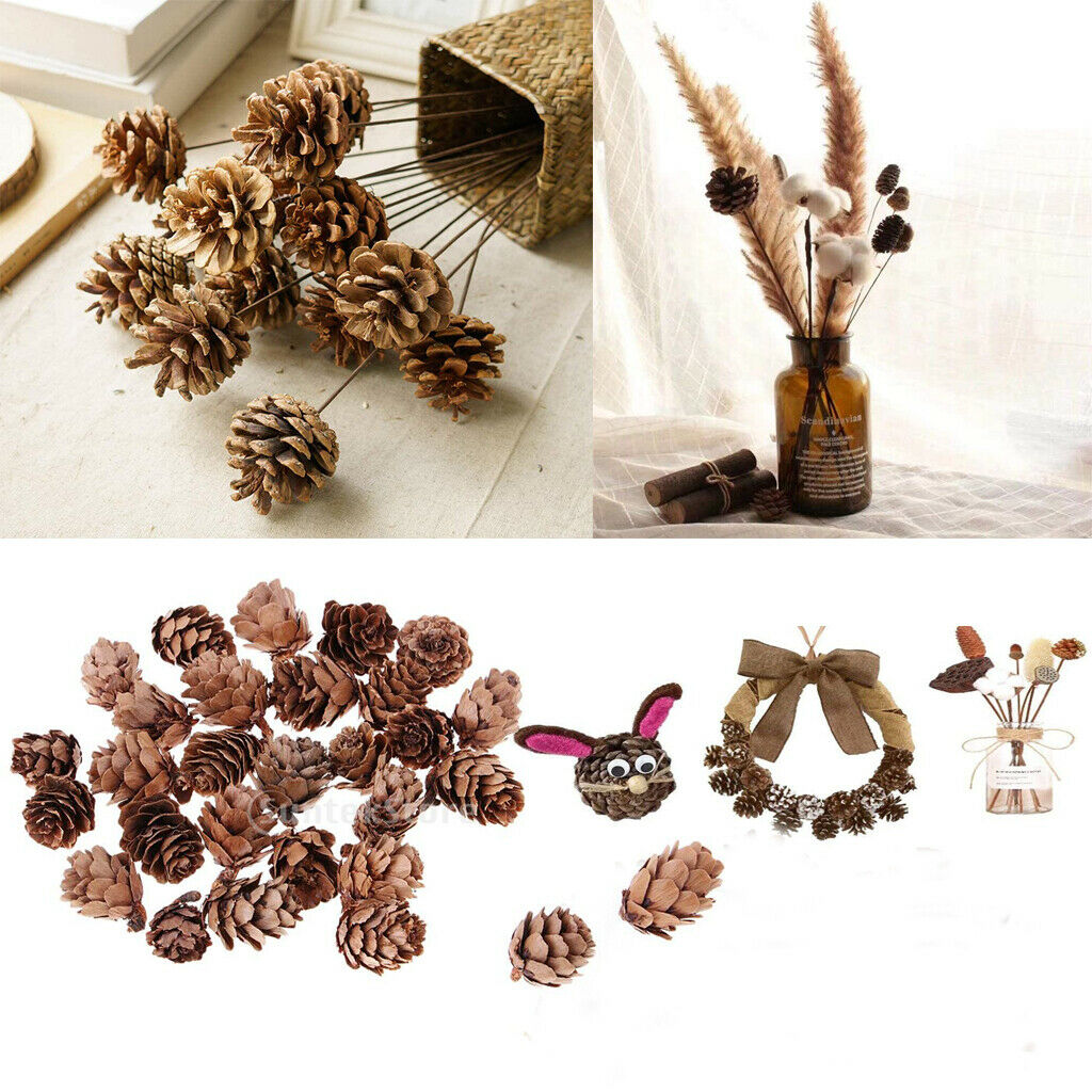 30Pcs Natural Dried Pine Cones Mini Size for Vase Filler Crafting Decoration