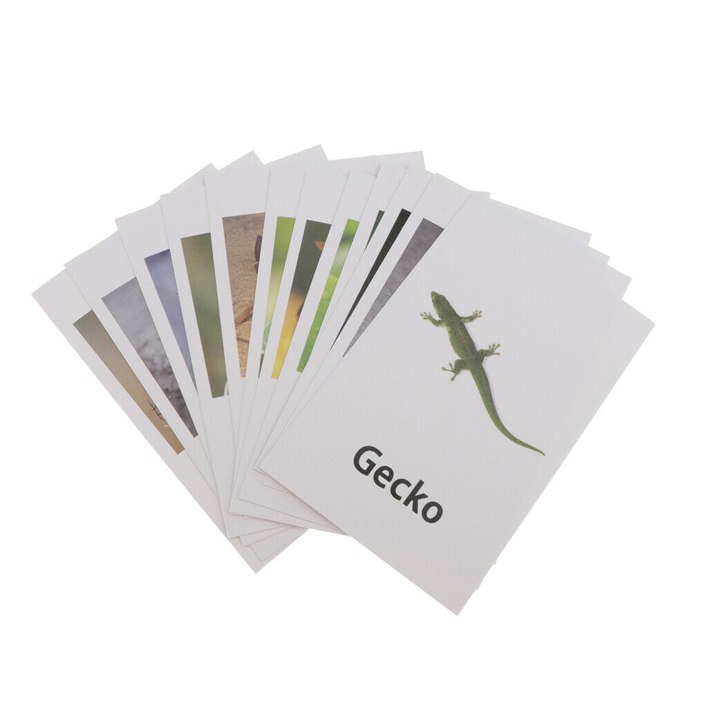 12pcs Insect Animal Match, with Learning Language Kids Cognitive Skills