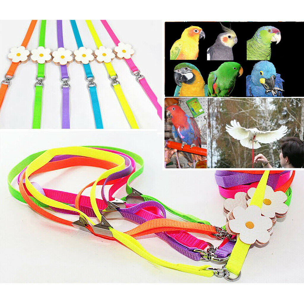 2 x Adjustable Harness Leash for Parrot African Grey Cockatoo Macaw Ringneck