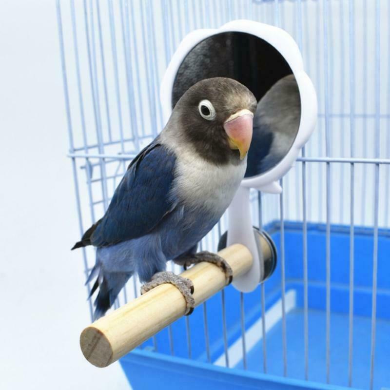 Parrot Perch Strong Wooden Jungle Gym Roosting Bar Parrot Toys With Mirror