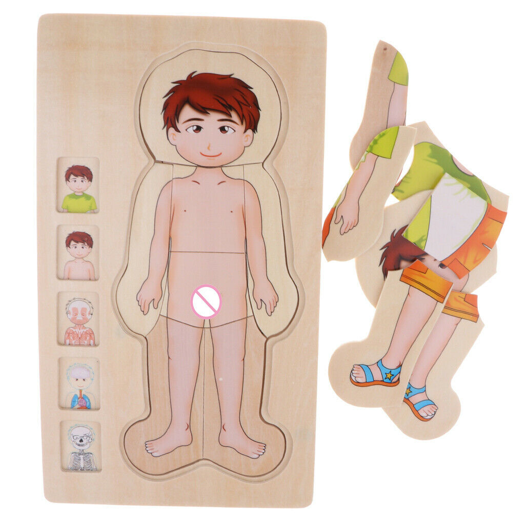 Wooden Puzzles for  Boys and Girls - 5 Layers Boy Body Structure Puzzle