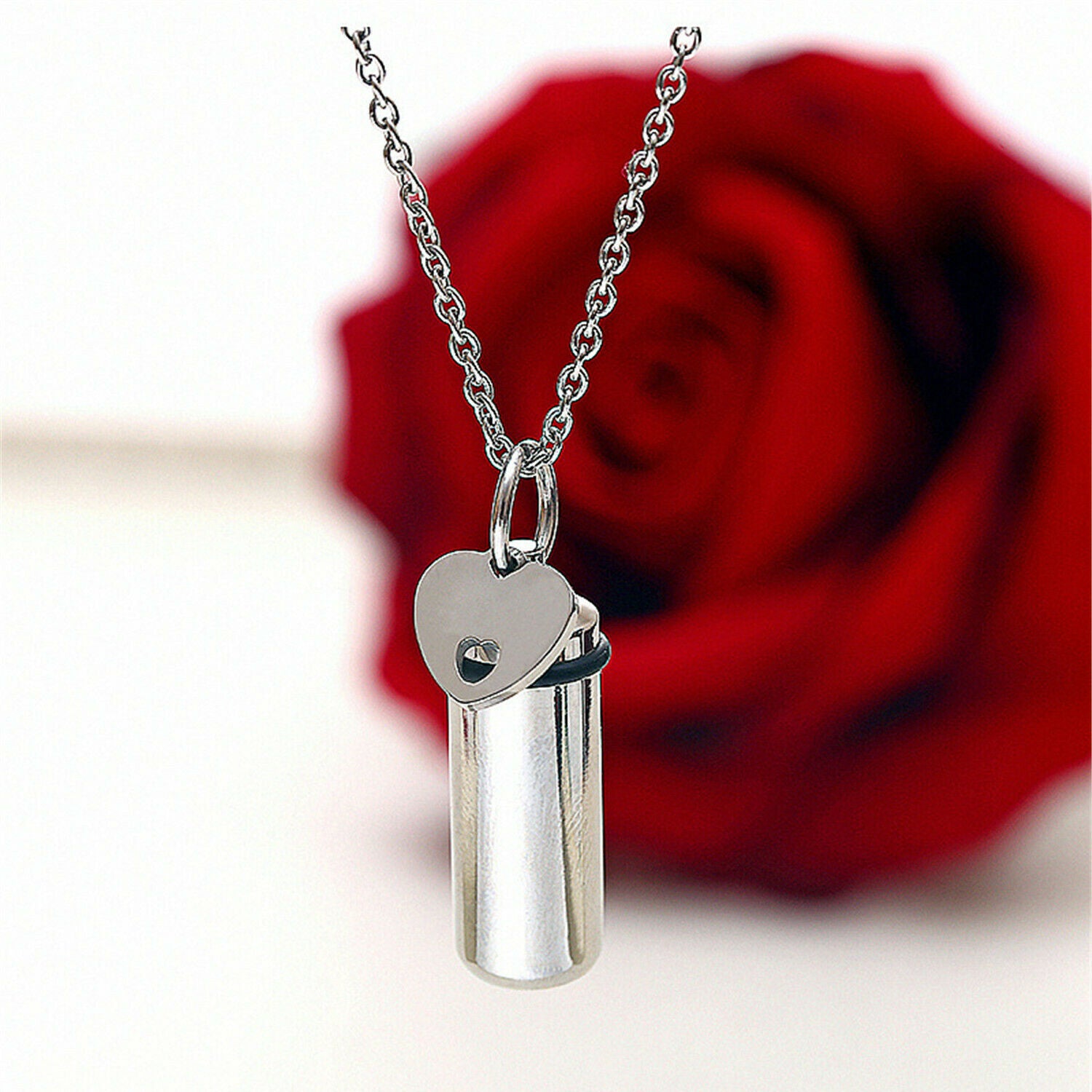 Stainless Steel Jewelry Cremation Ashes Keepsake Memorial Urn Necklace for Pet