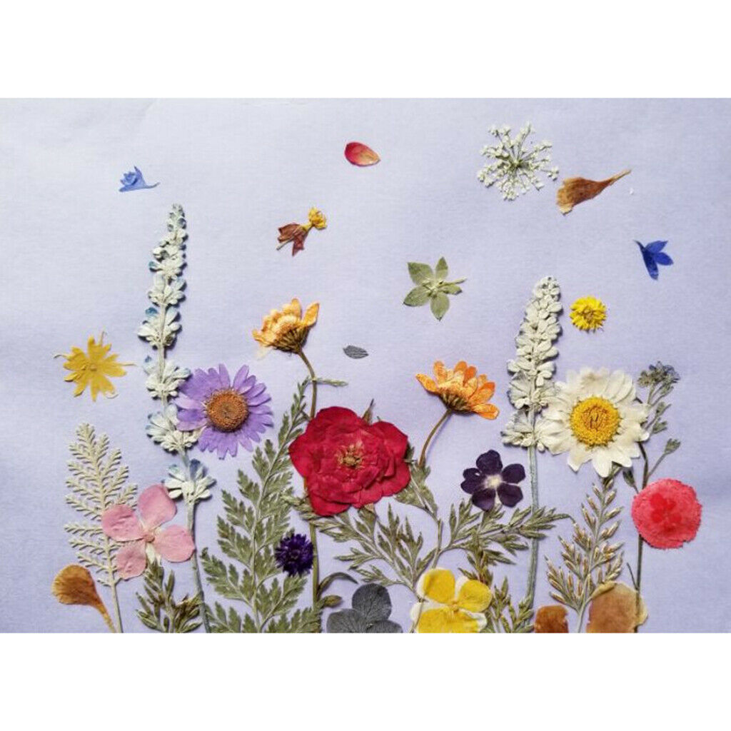 10 Pieces Beautiful Pressed Dried Flowers Leaves for Arts Crafts DIY Decor