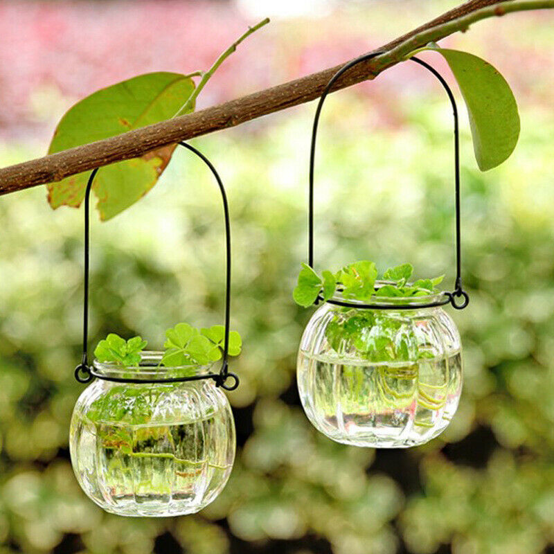 Hydroponic Vase Glass Bottle Pumpkin Flower Arrangement Small Hanging Bot SJ