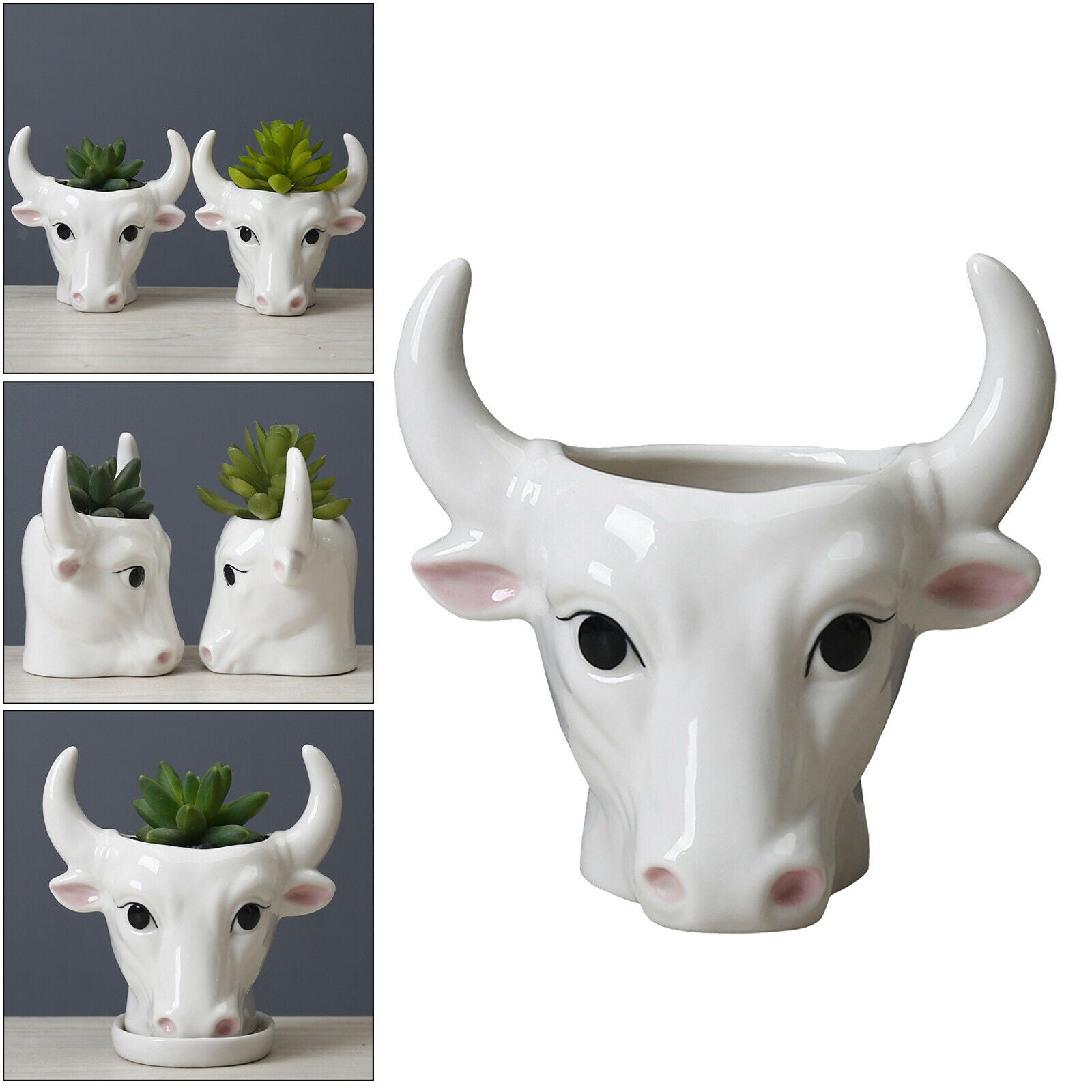Bull Succulent Pot Flower Plant Planter Flowerpot Office Balcony Ornament