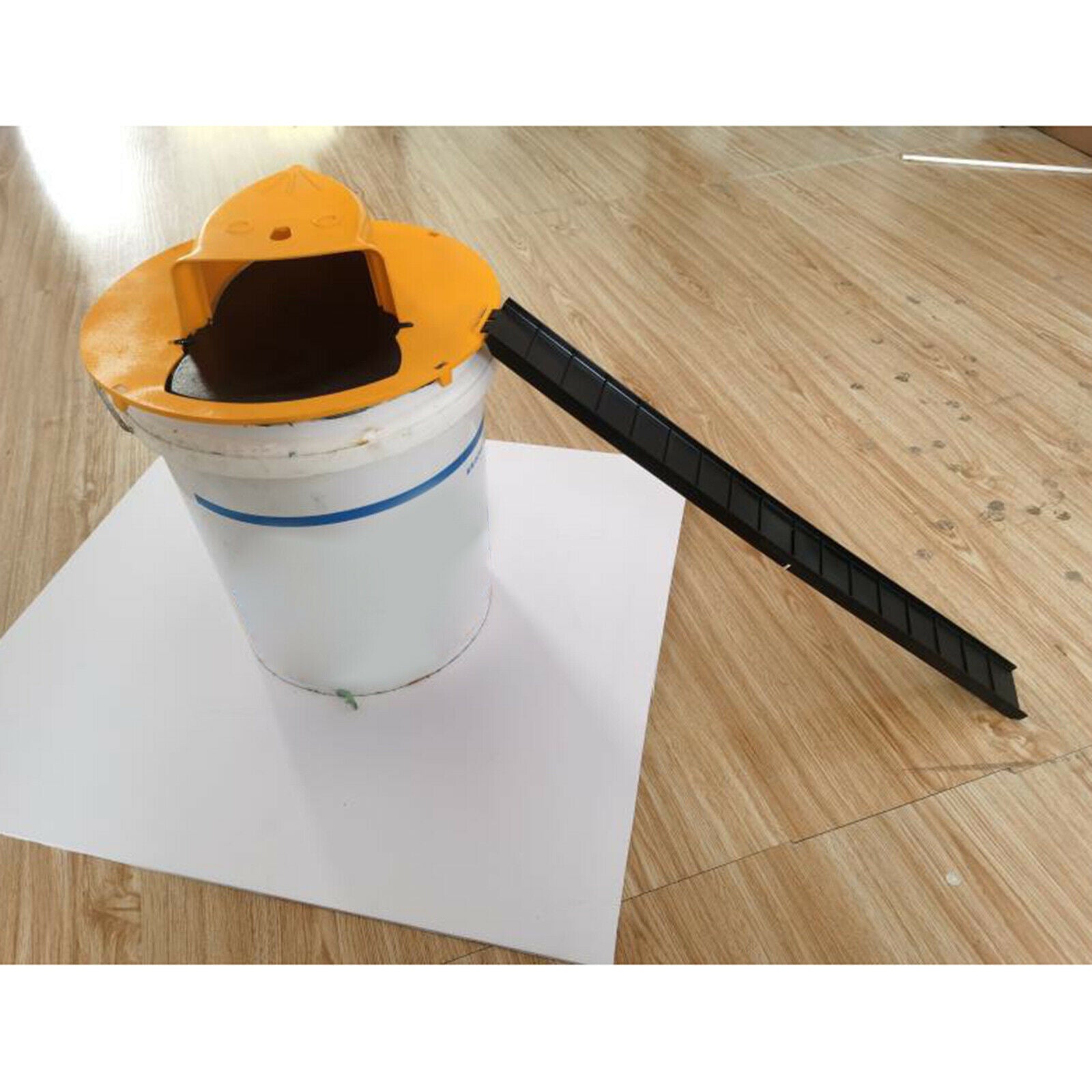 Mouse Rat Trap with Ramp Humane and Safe Quick Effective for Mice Rats