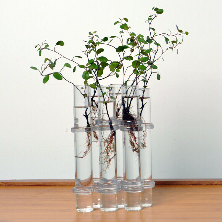 6x Glass Tubes Shape Hanging Hydroponic Flower Plant Vase Terrarium Container