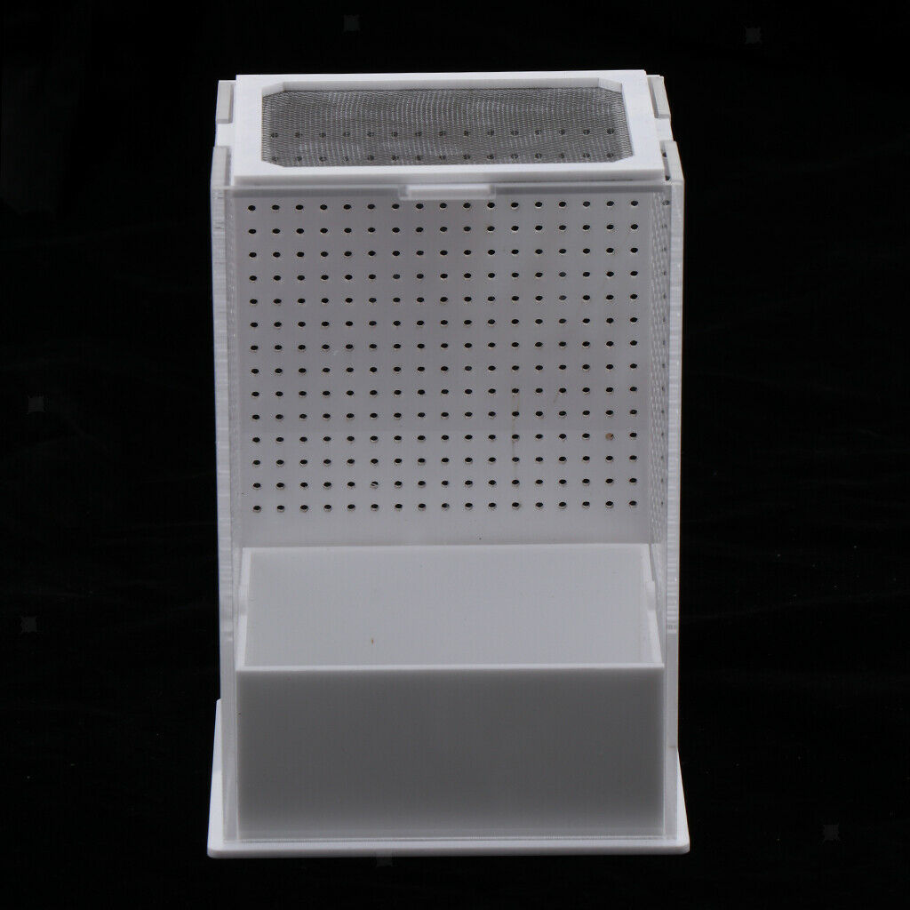 2x Reptile Feeding Box Transparent Cage Hatching Container for Lizard Frog 1