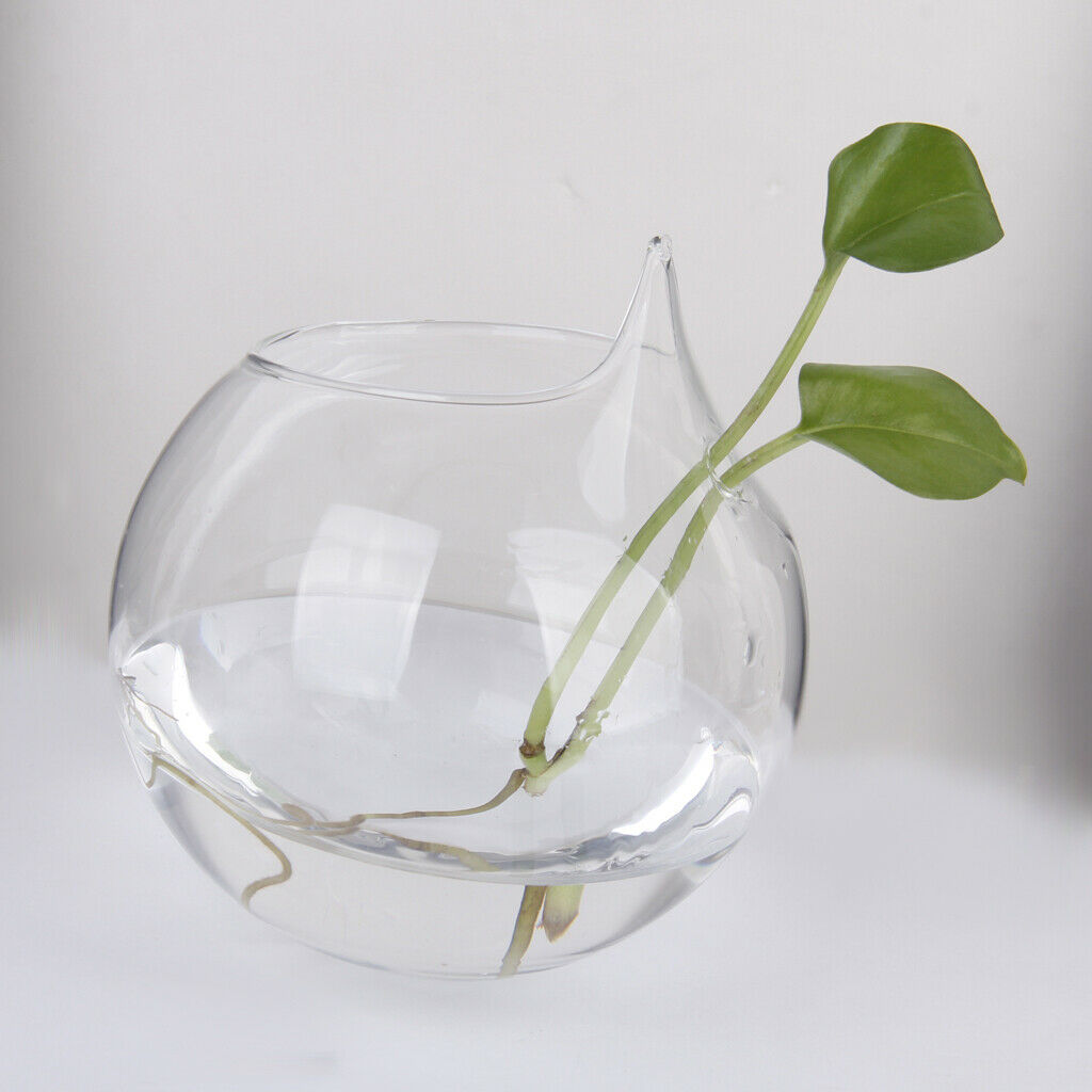 3x Clear Ball Glass Hanging Vase Bottle Terrarium Container Flower Decor