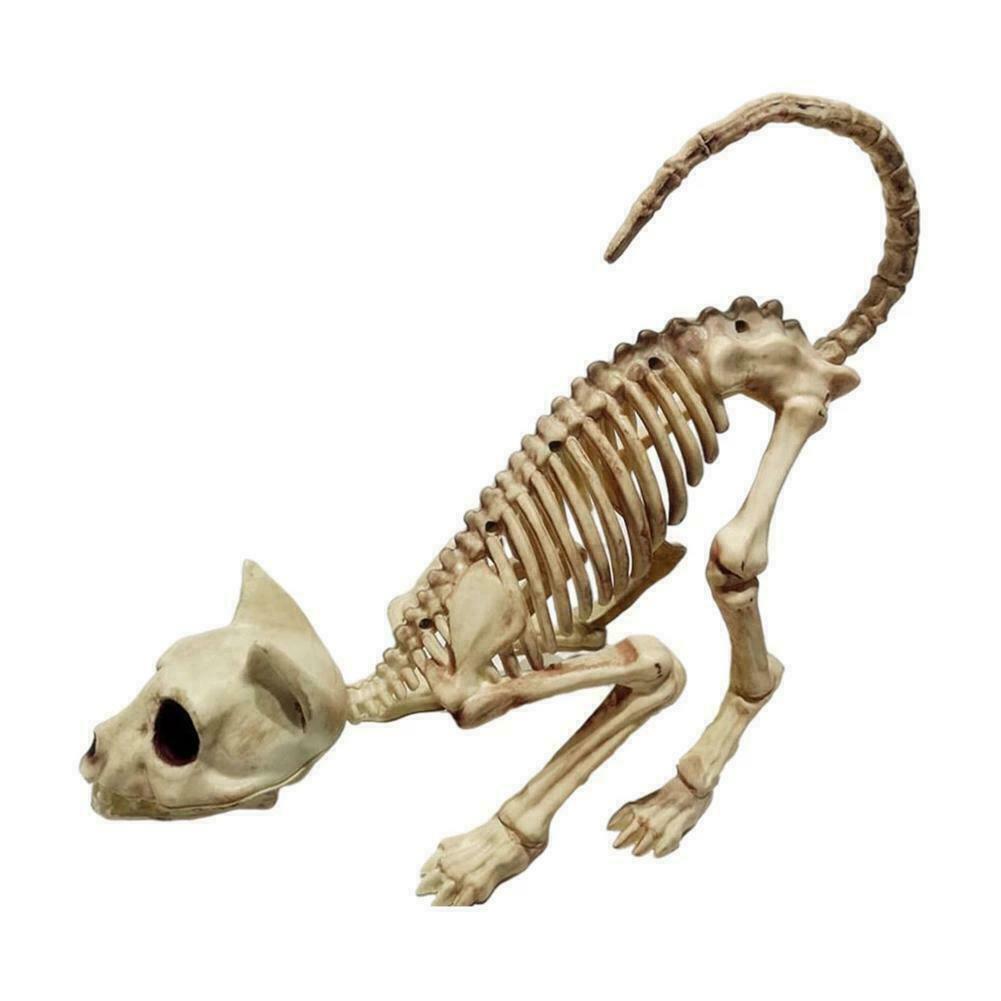 Halloween Life Sized Cat Skeleten Dead Amimal Prop Decoration O6L9