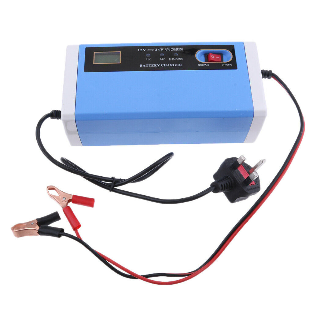 12V-24V 10A Intelligent Pulse Battery Charger/Repair for Electric car UK