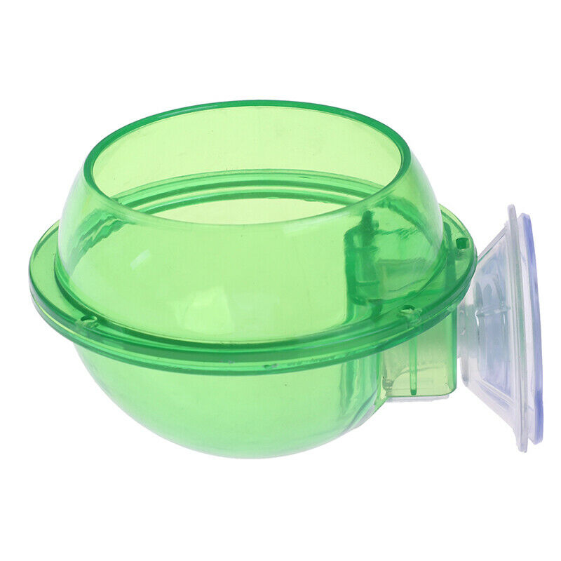 Suction Cup Feeder Reptiles Ledge Accessories Supplies for Gecko Chamele.l8