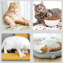 Natural Silvervine Powder Organic Cat Catnip Cleaning Teeth Kitten Cat Snacks