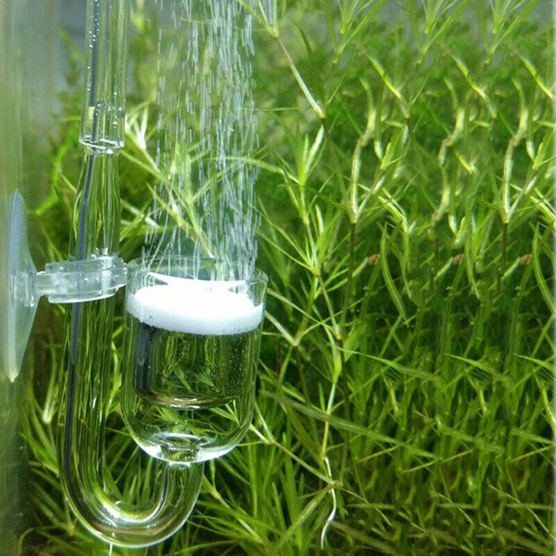 1PC Fish Tank CO2 Diffuser with Ceramic Disc Suction Cups for Aquarium Fi.l8
