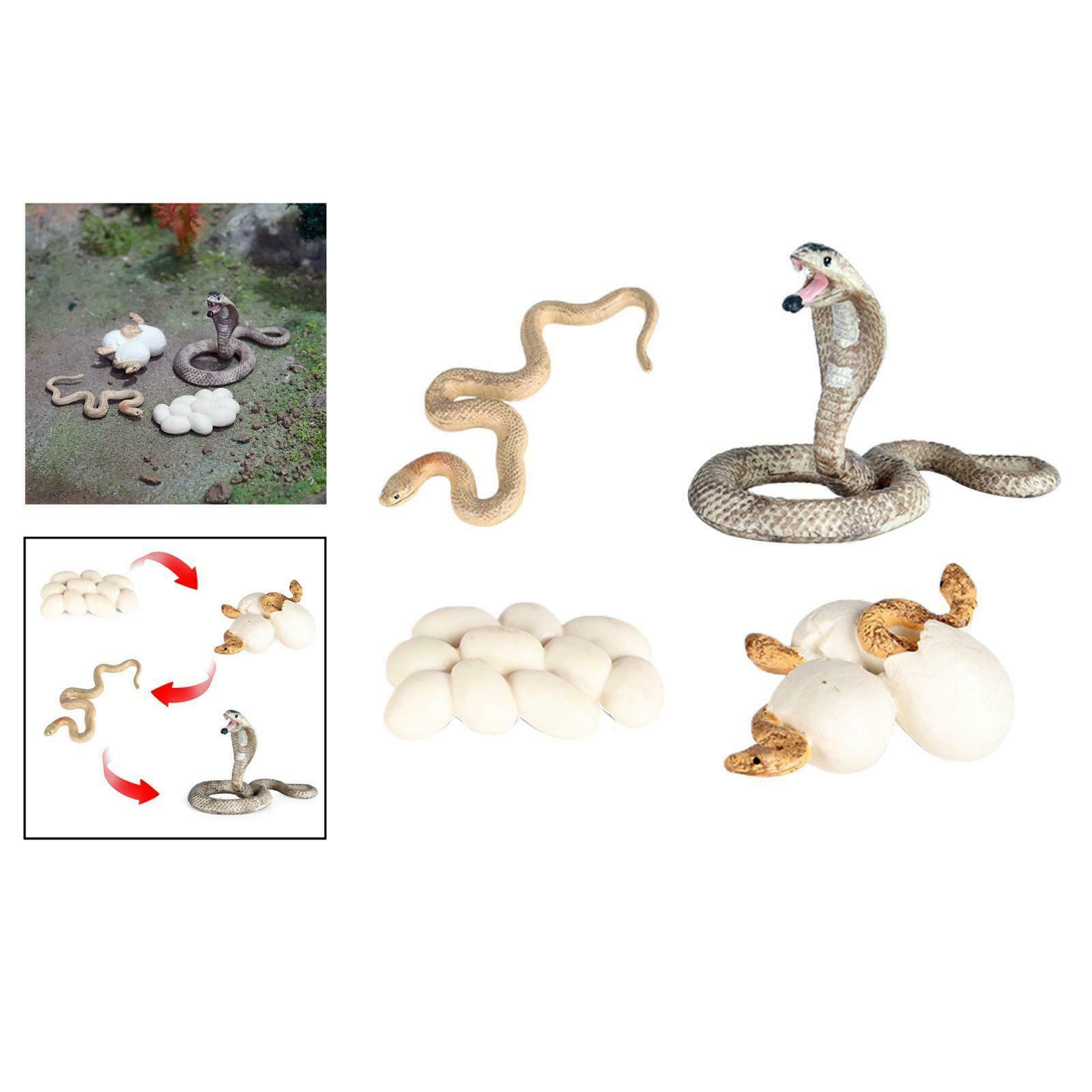 Realistic Cobra Growth Figures Kids Cognitive Toys Role Play Themed Party