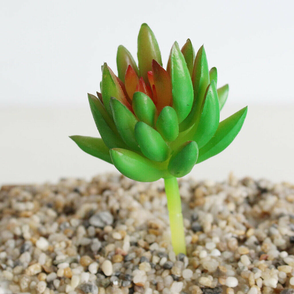 2 Pieces. Artificial Echeveria Succulents Decoration - Green +