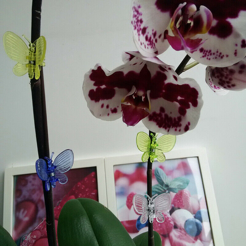 30 Pcs Butterfly Orchid Clips Plant Clips Garden Flower Vine Support Clip TP KX