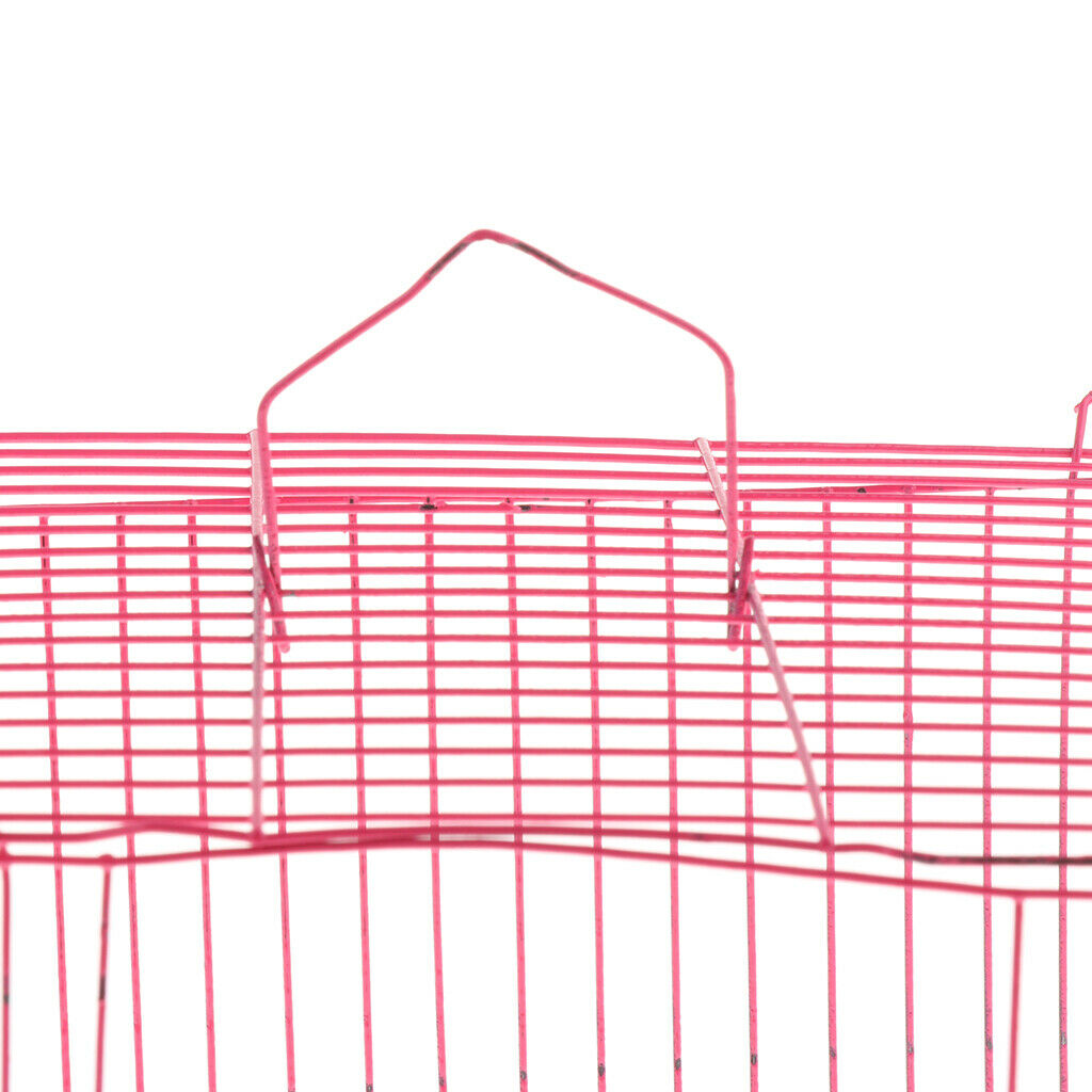New House Small Pet Hamster Exercise