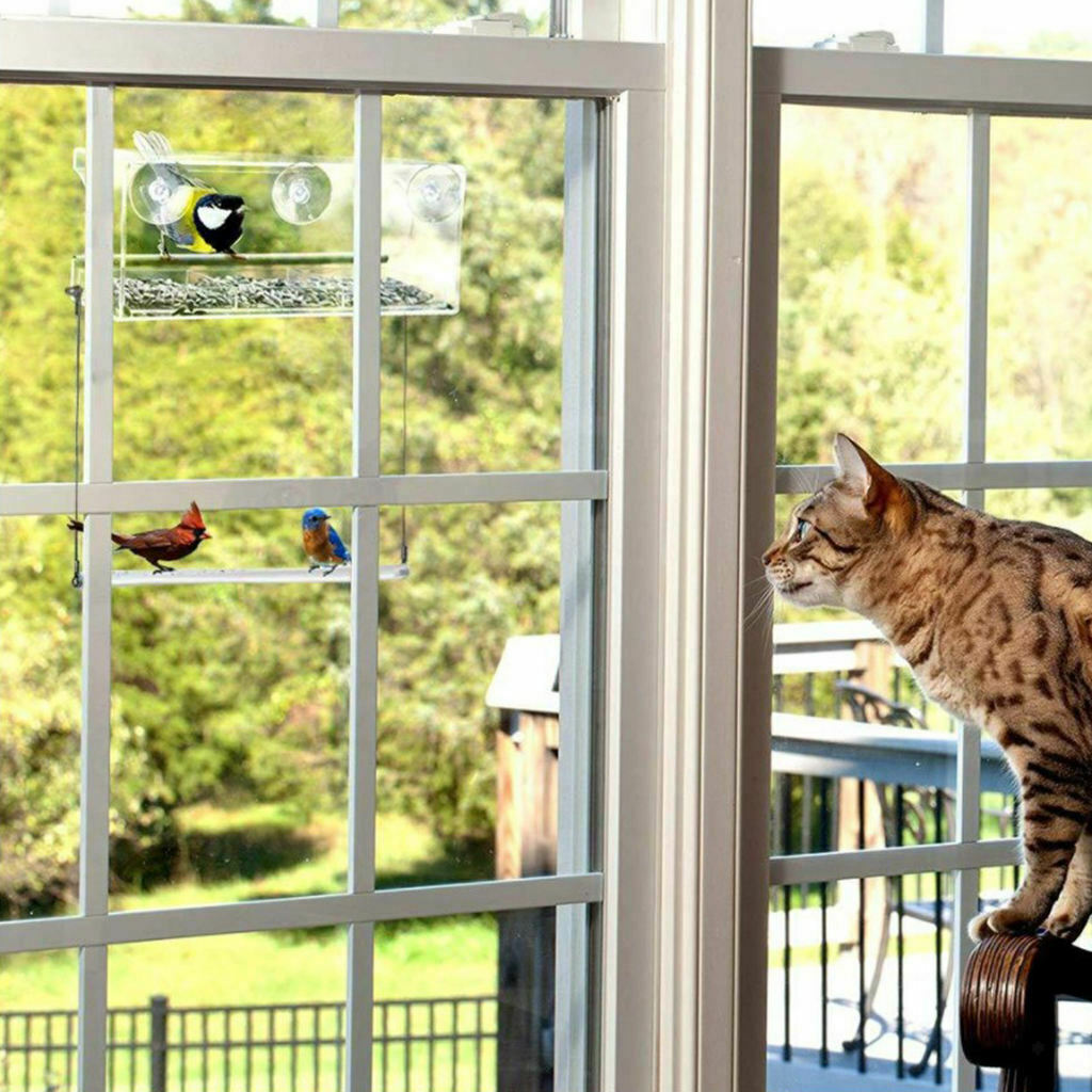 Window Bird Feeder Hummingbird Birdfeeder Birdhouse Kit Balcony Lanai Garden