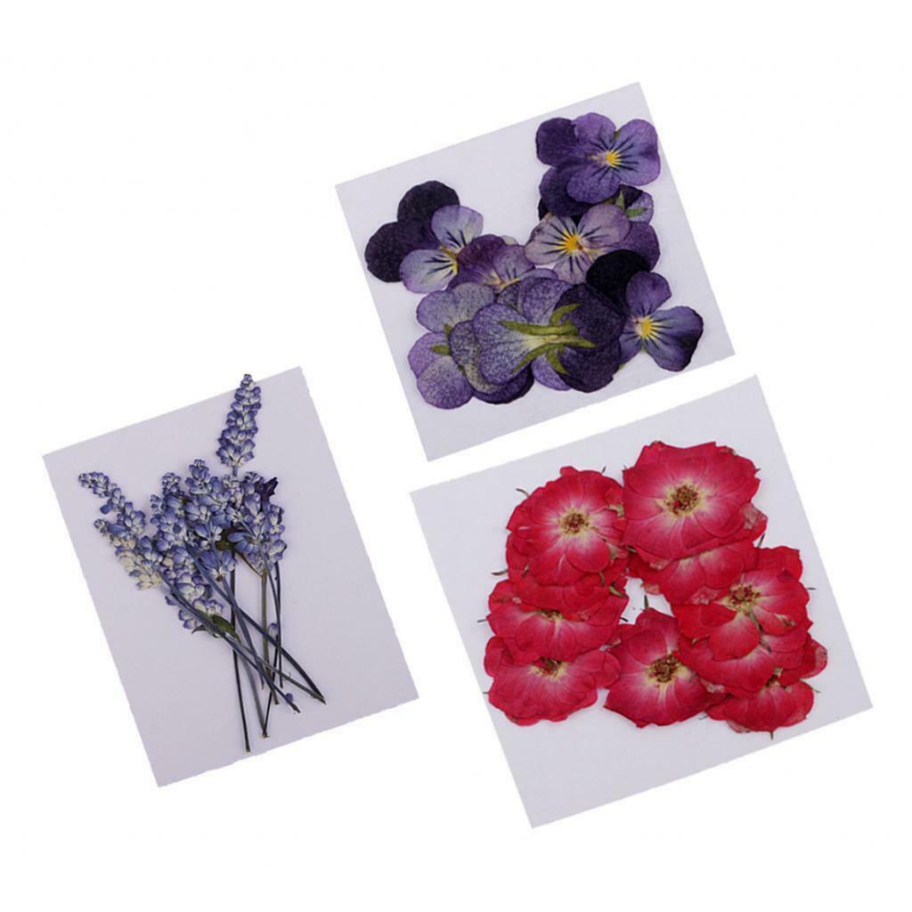 32x Pressed Dried Flowers Real Blossoms for DIY Candle Jewelry Crystal Epoxy