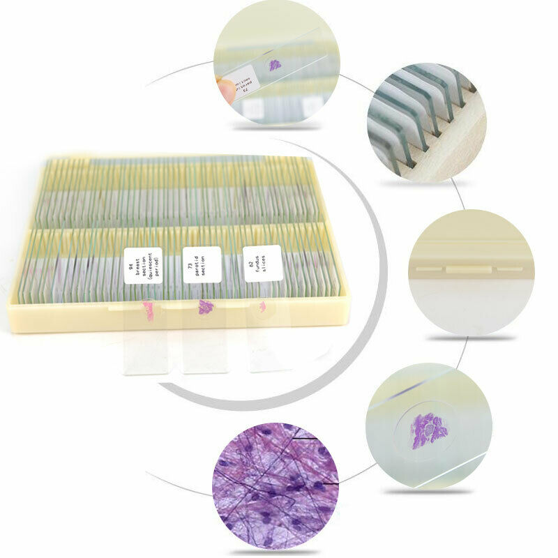 100 PCS Human Tissue Sections Histology Prepared Specimen Microscope Slides
