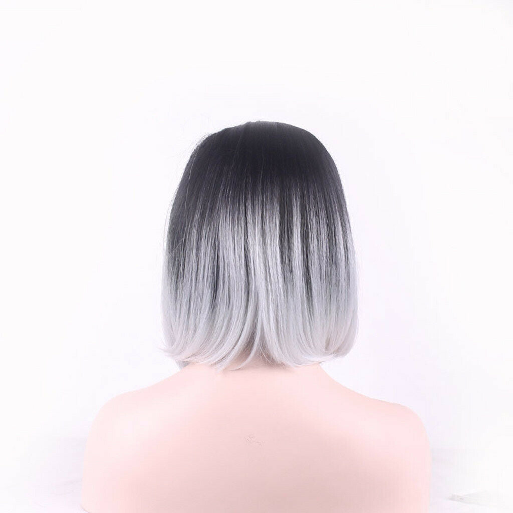 Ladies Straight Synthetic Wig Ombre Color Black Mixed Grey Fiber Wig 40