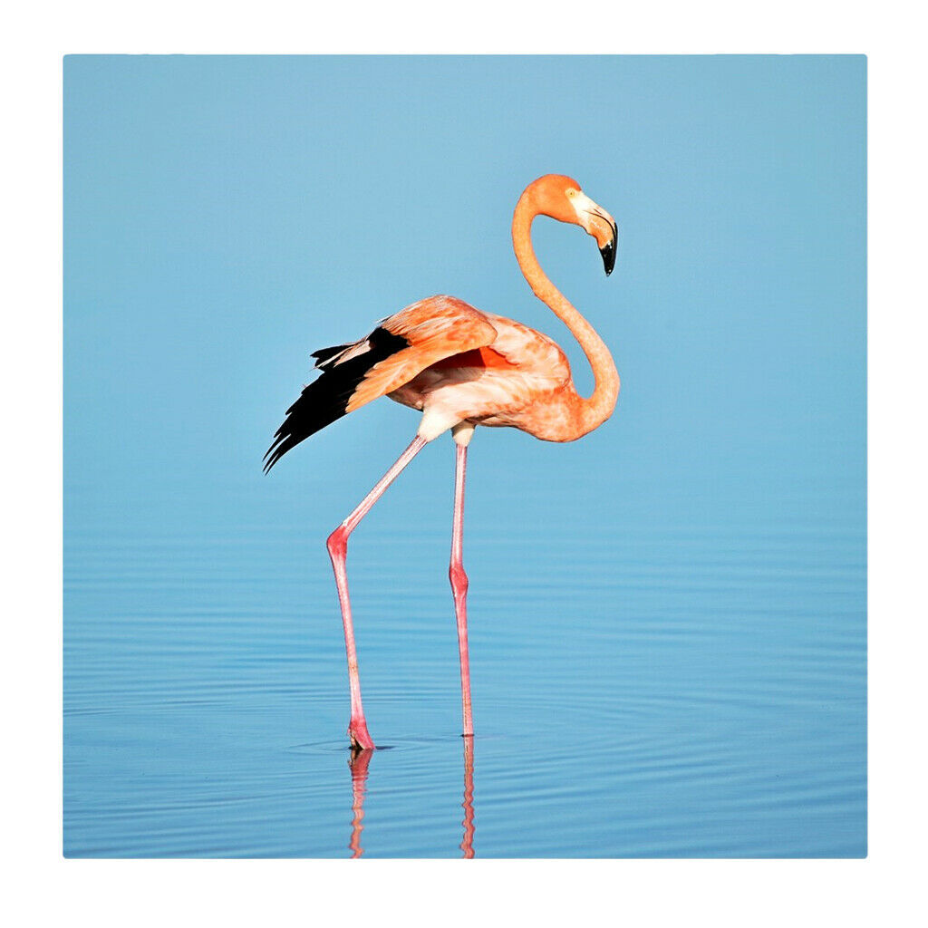 1 Set Daimond Painting Kit Lovely Animal Picture for Wall Decor Flamingos