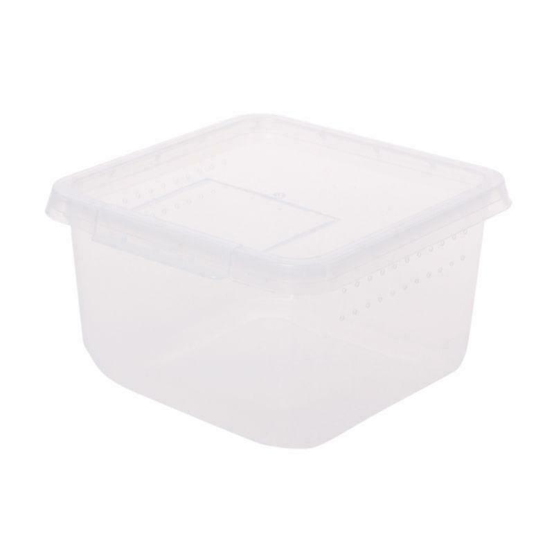 Reptile Terrarium Feeder Breeding Box Tortoise Spider Lizard Beetle Insect House