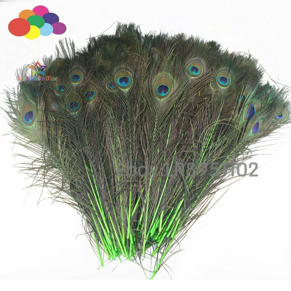 Fruit green crafts 40-45cm Peacock Eye Tail feathers DIY hair wedding party home