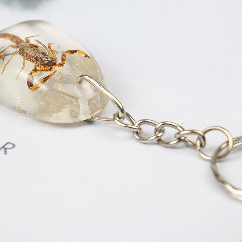 Artificial Amber Keychain Flat-Bottomed Water Drop Insect Specimen Key Pend DF