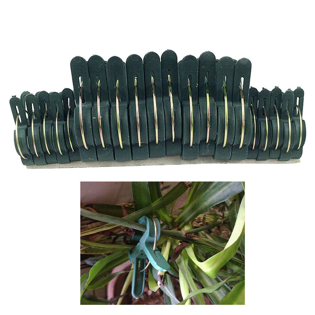 60x Reusable Spring Loaded Sprung Plastic Plant Clips Garden Ties Easy Use