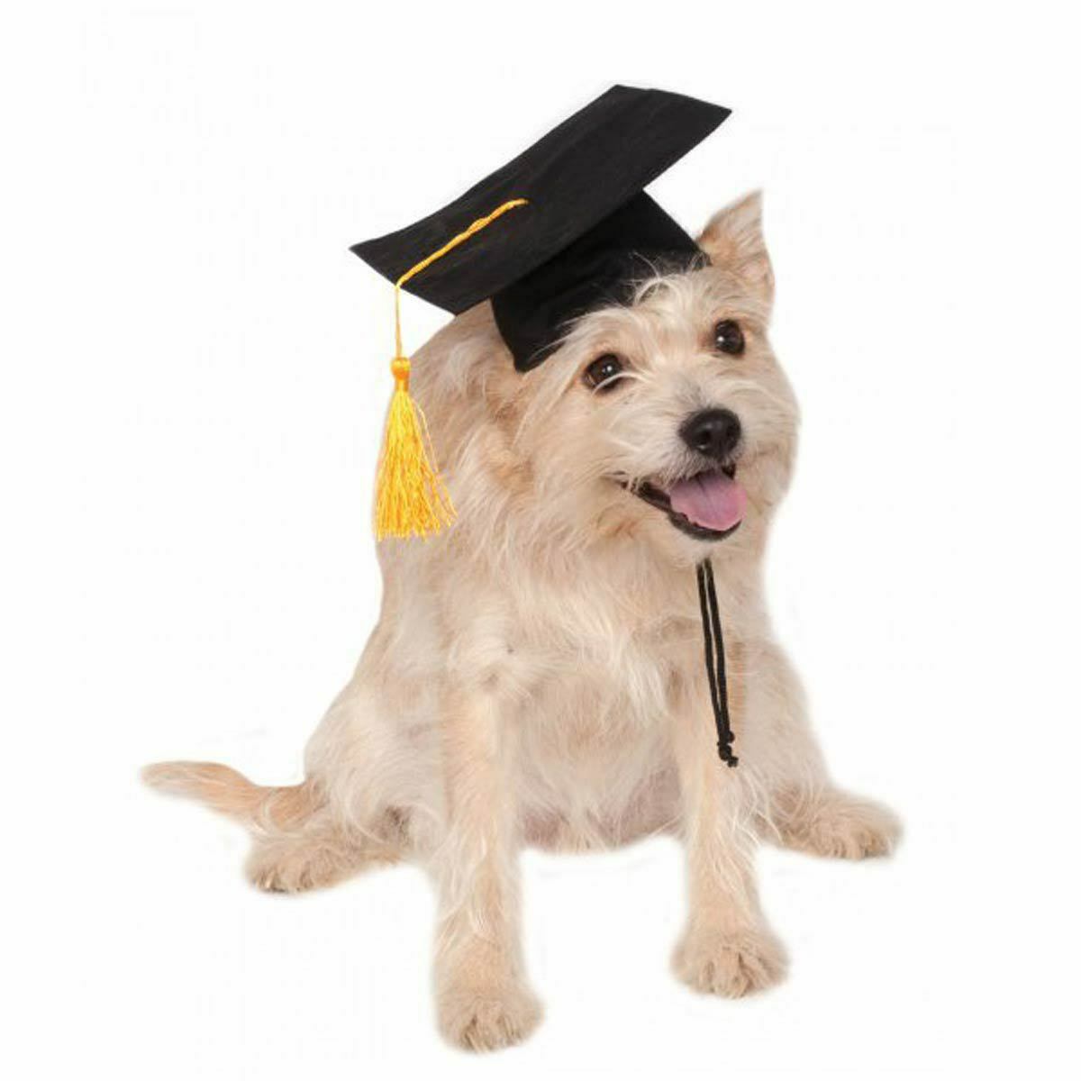 Black Pet Graduation Cap Hat Cute Accessory Dogs Cats University Bachelors Cute