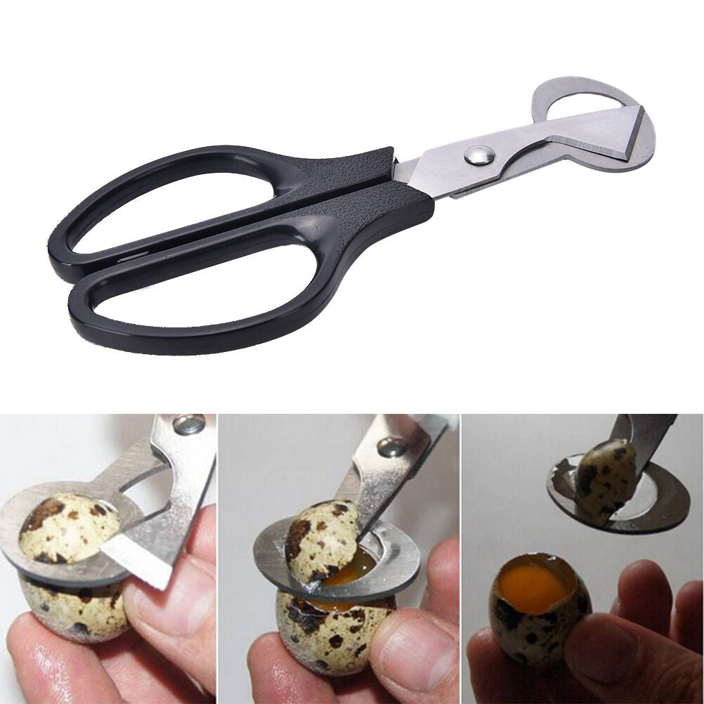 1X Wachtelei Schere Cracker Opener Zigarre Cutter Edelstahl Klinge Werkzeu DD