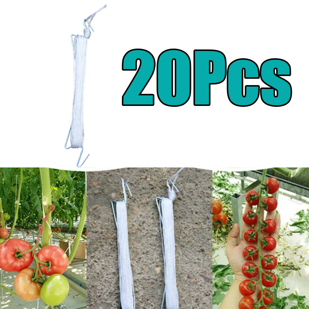 15/20/25/30pcs Tomato Hooks Support For Planting Tomato Vegetable 20pcs