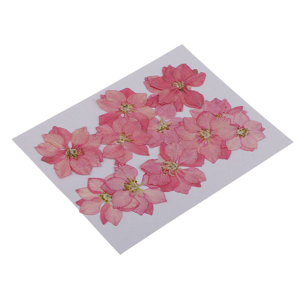 12 Pcs Pressed Flowers Dried Larkspur Real Pressed Dried Flowers DIY Pink