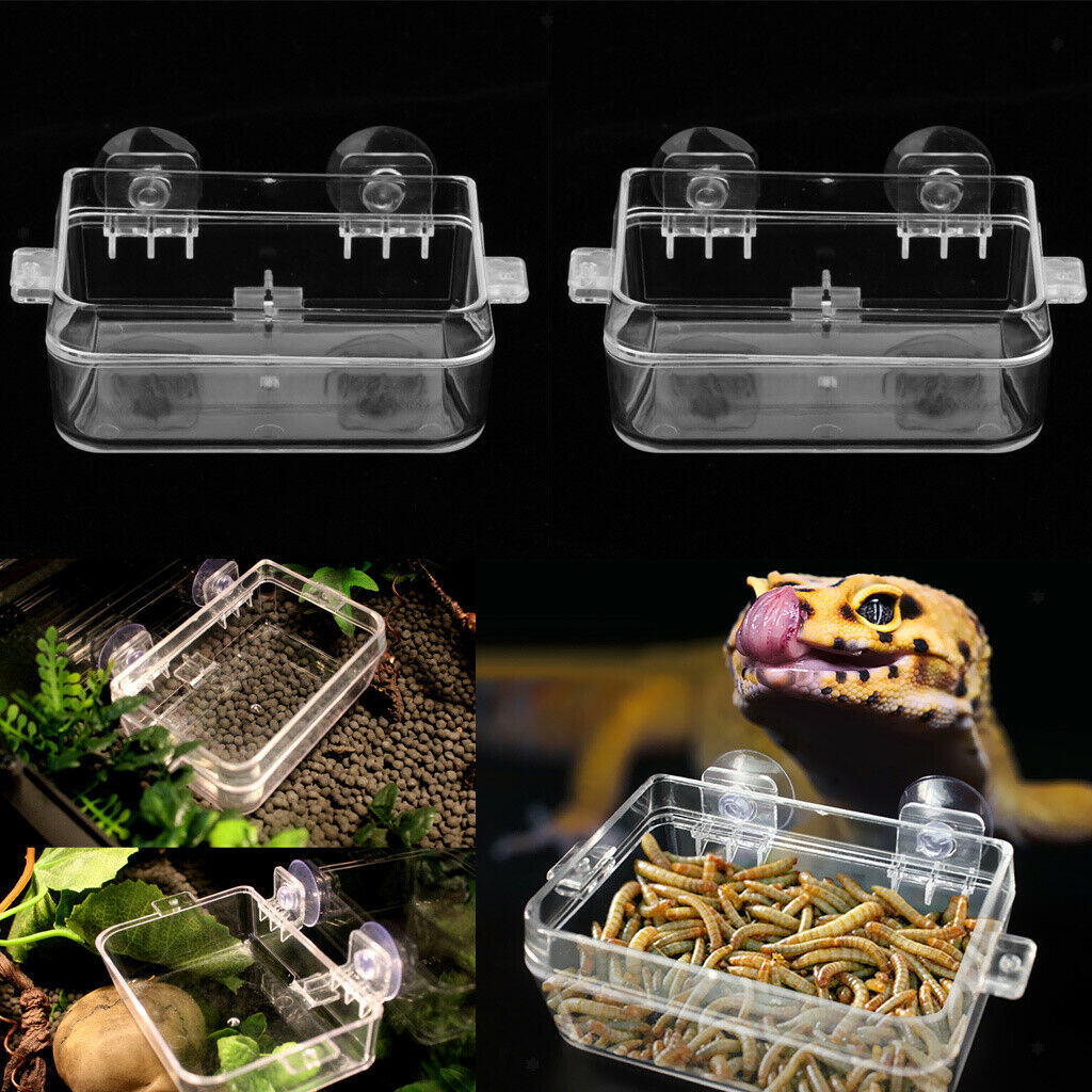 2x Transparent Tortoise Gecko Reptile Terrarium Water Dish & Food Bowl