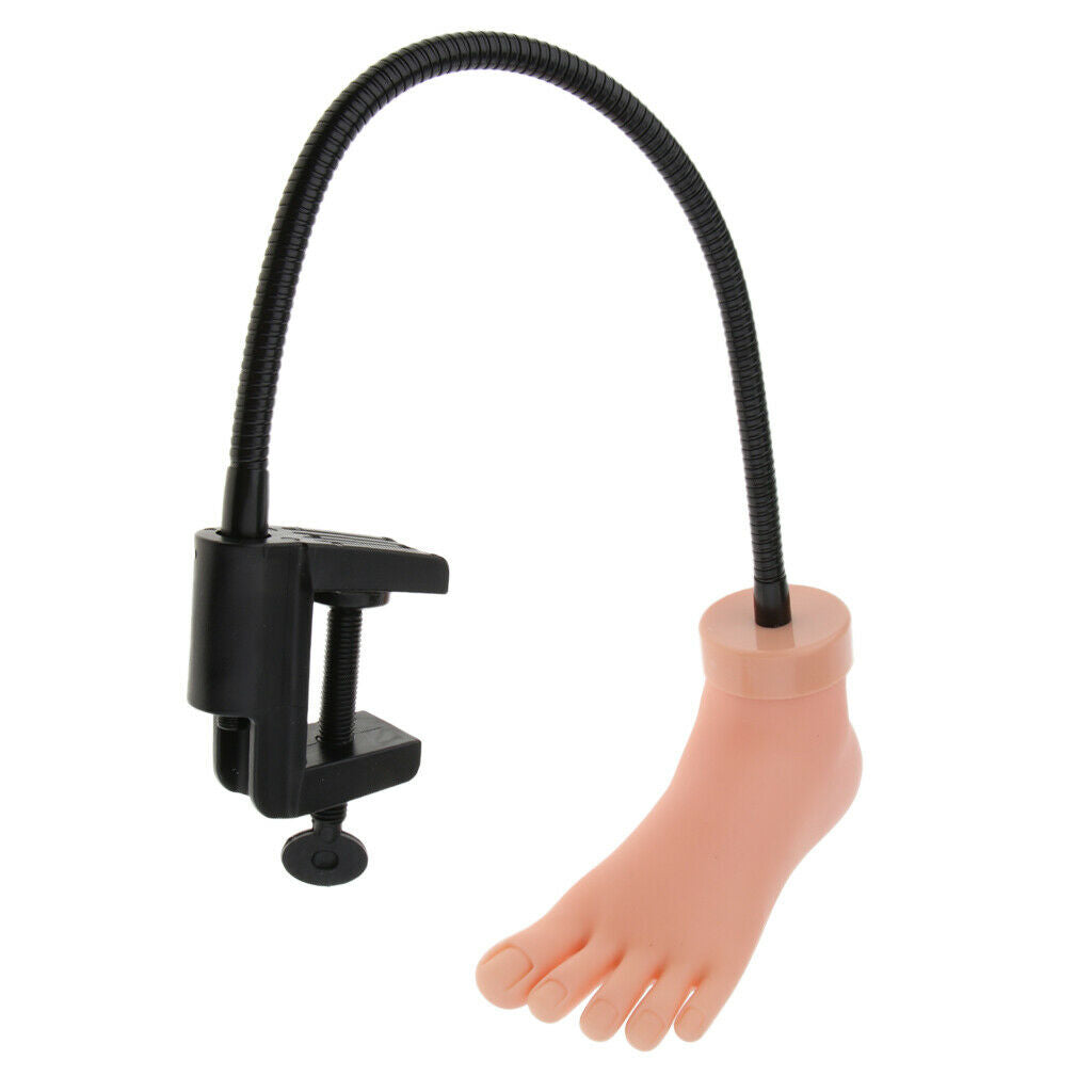 Silicon Practice Pedicure Trainer Training Durable Foot Tool w/ Stand Holder
