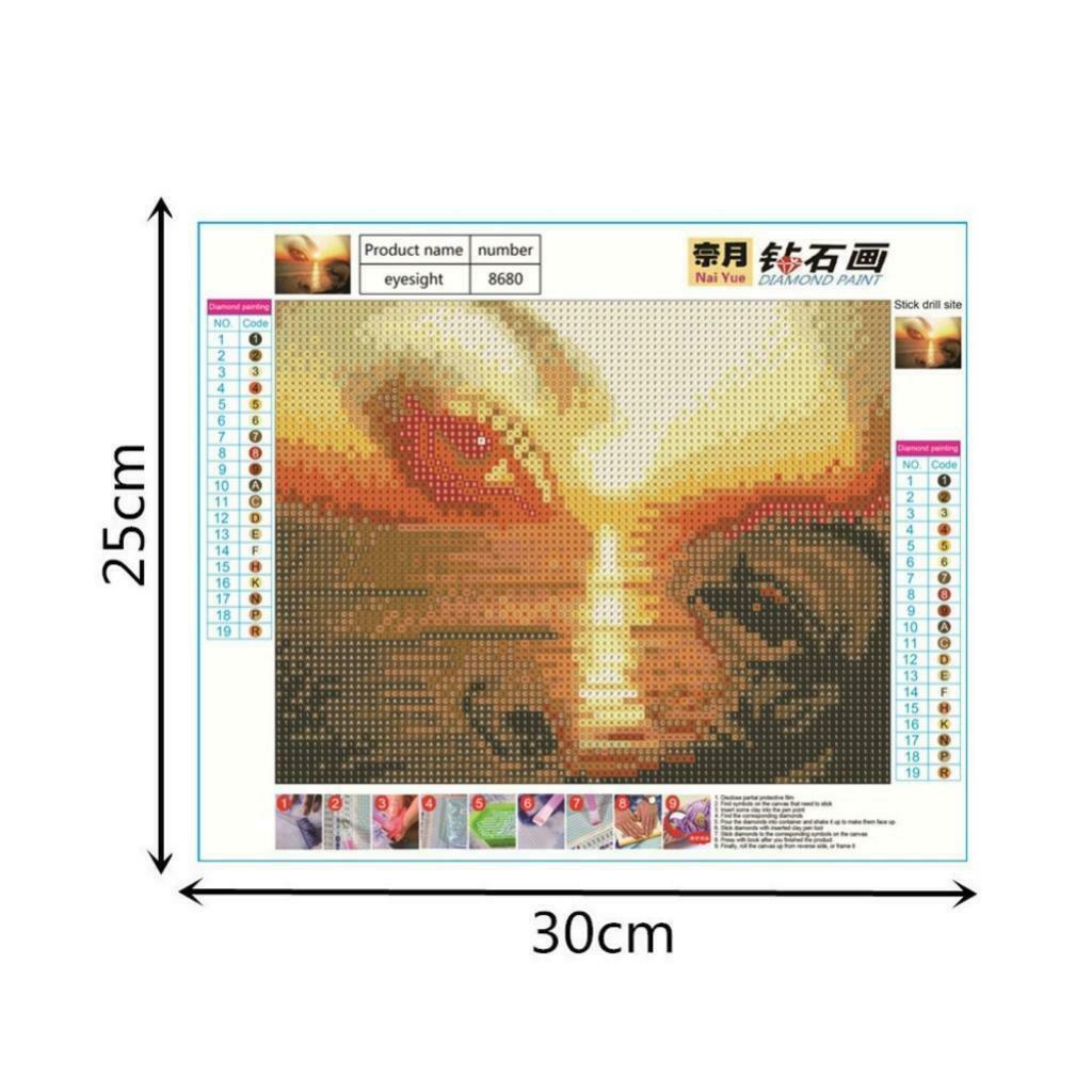 5D DIY Diamond Painting Full Drill Rhinestone Embroidery Kit Eye Landscape 1