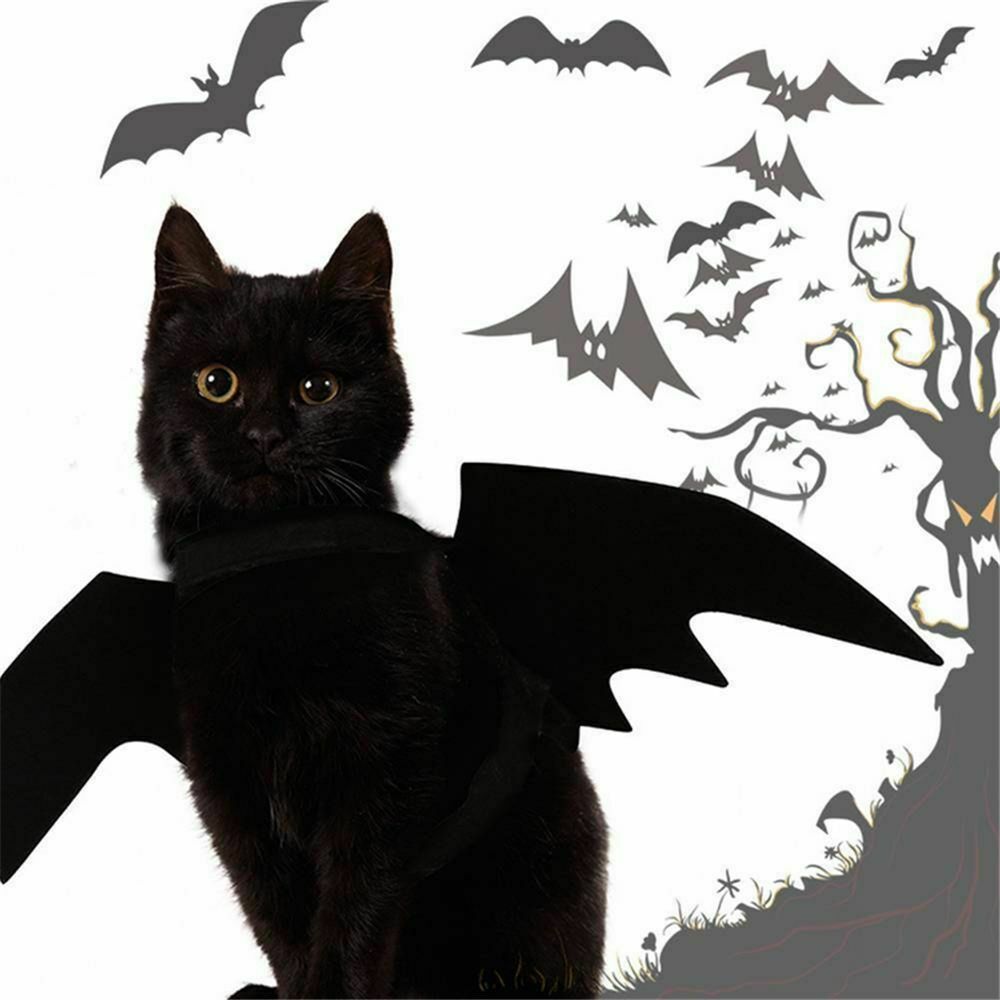 Bat Wings Cat Vest Cat Costume Halloween Decorations Cat Wings Pet Clothes