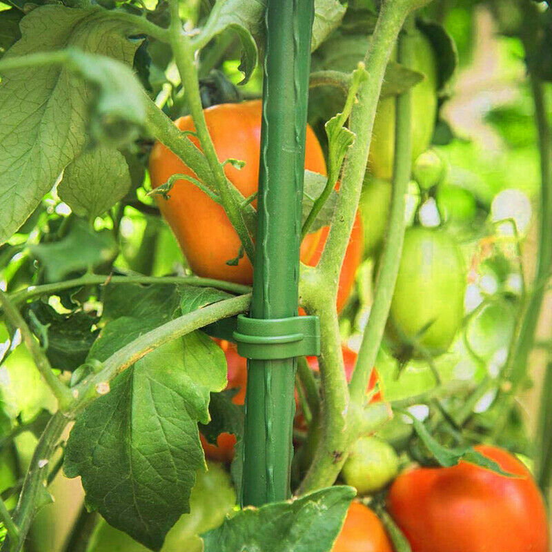 12x Stake Arms for Tomato Cage Vegetable Trellis for Vertical Climbing Plant HN