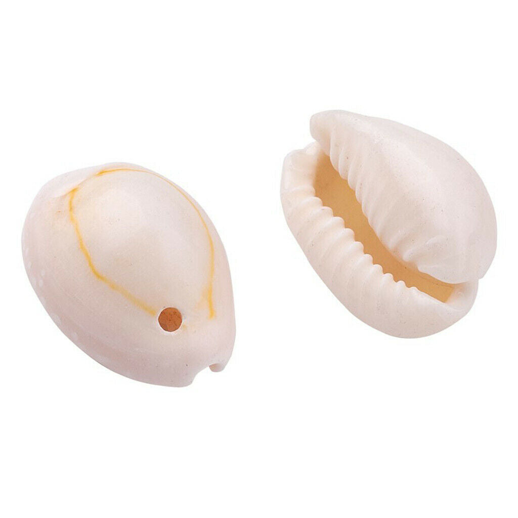 Natural Shell Pearls Cowrie Shells Natural Clams for Wakiki Hawaii