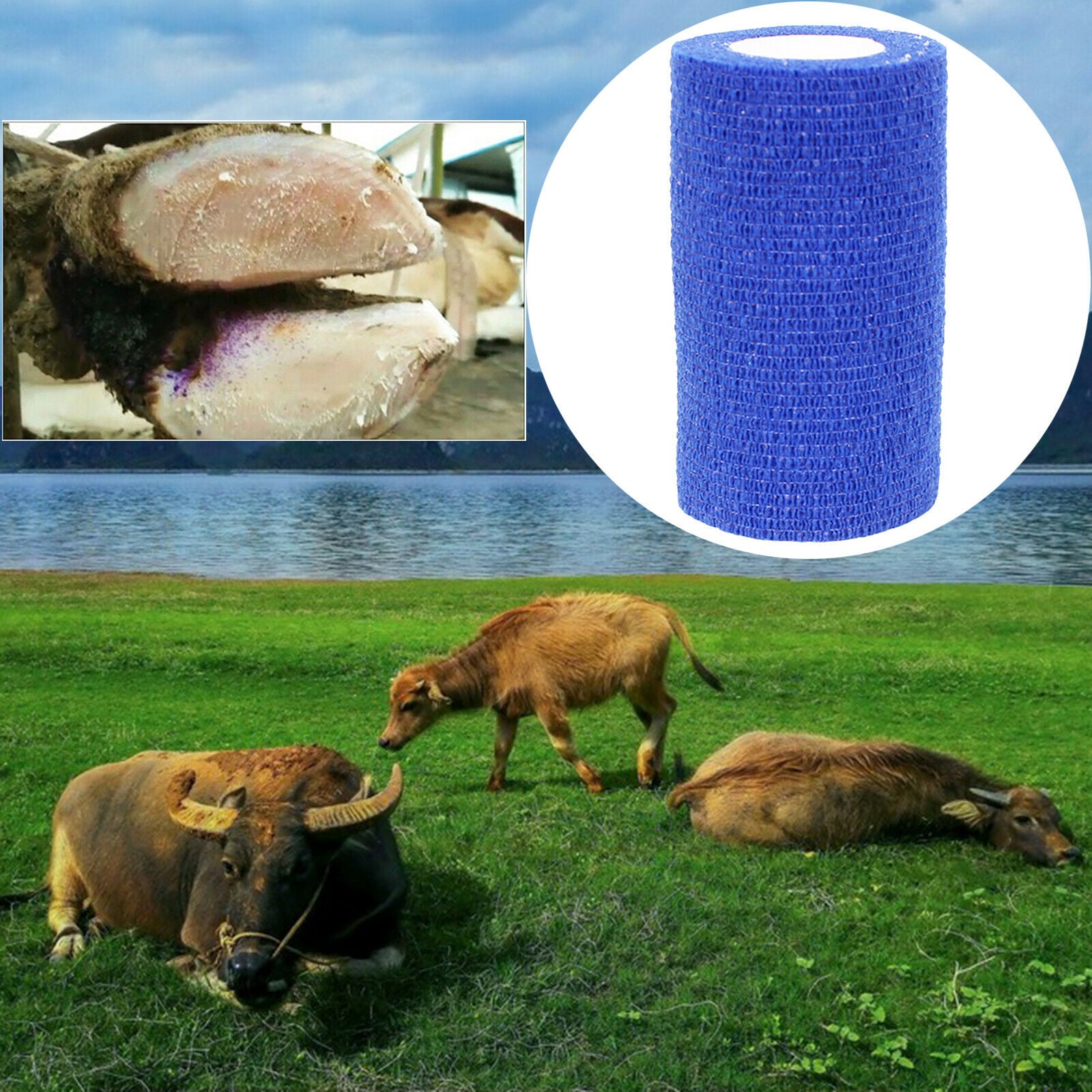 Gauze Rolls Non-Woven Stretched Cohesive Bandage for Dogs Animals 10x450cm