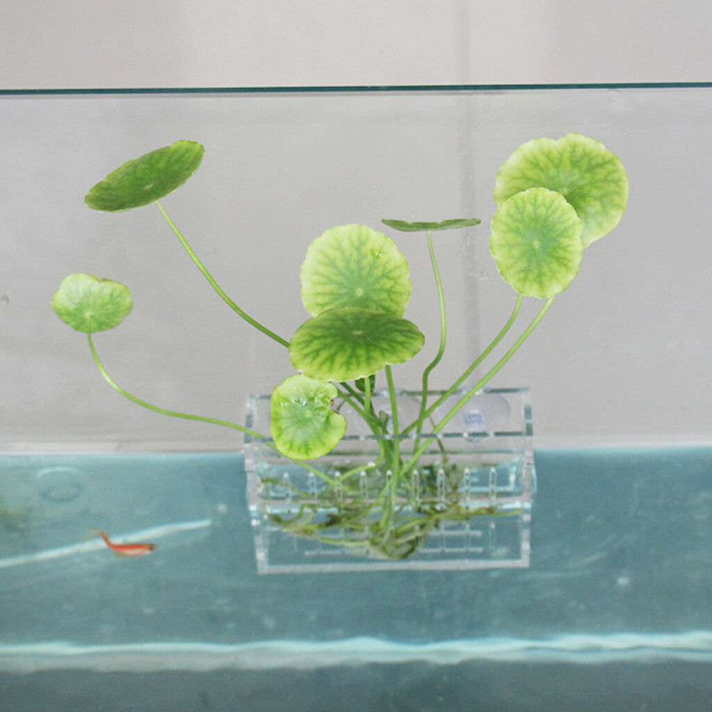 Water Plants Aquascaping Pot Holder - Aquarium Tank Aquatic Water Plants Cup