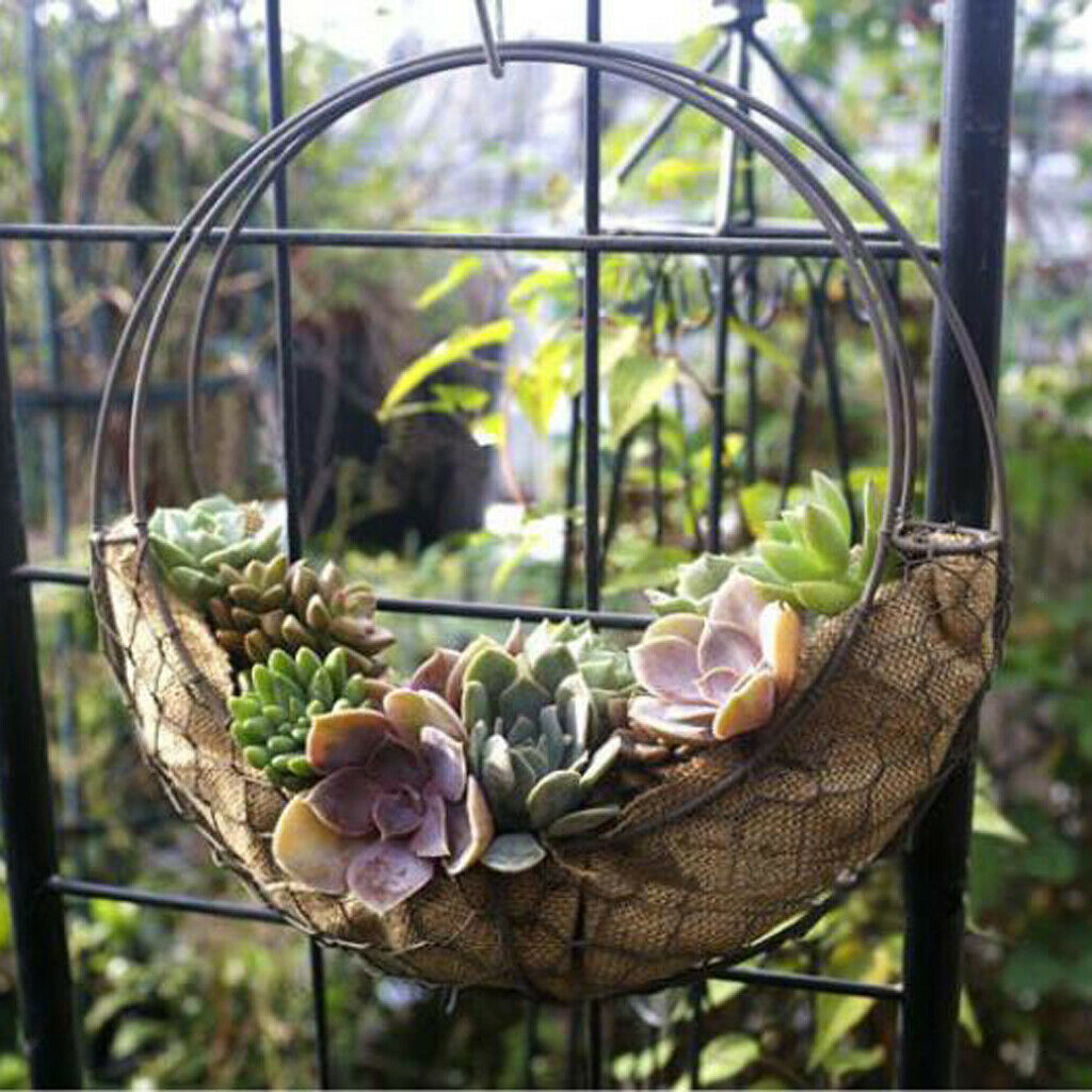 Moon & Ball Shaped Metal Wire Wreath Frame Form Hanger Pack of 6